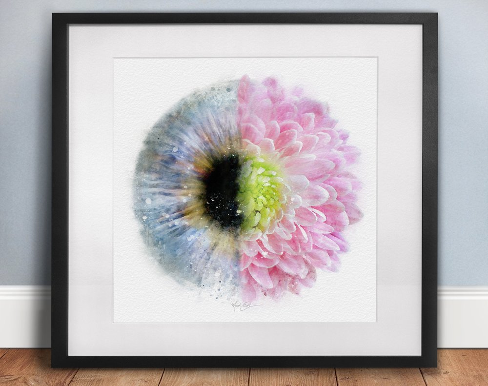 Iris and chrysanthemum art print