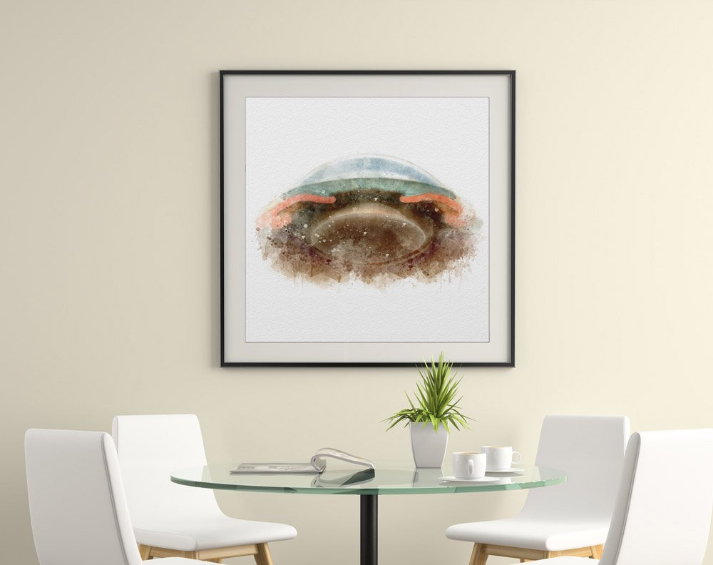 Anterior segment cross section art print for eye-care clinics anterior segment anatomy Optometrist wall art print