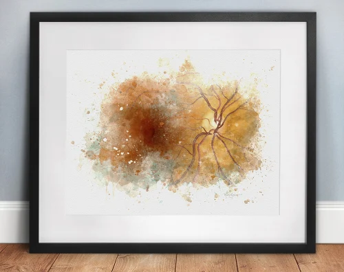 Boutique optometry office wall art and decor