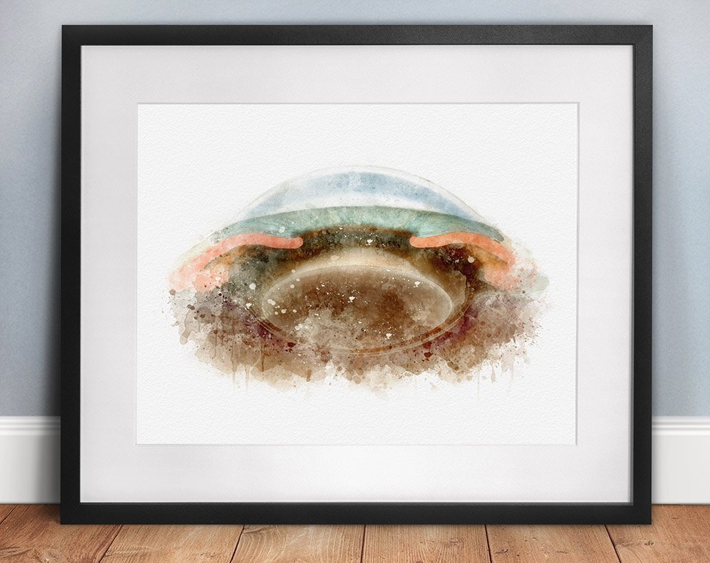 Anterior segment anatomy wall art eye doctor gifts