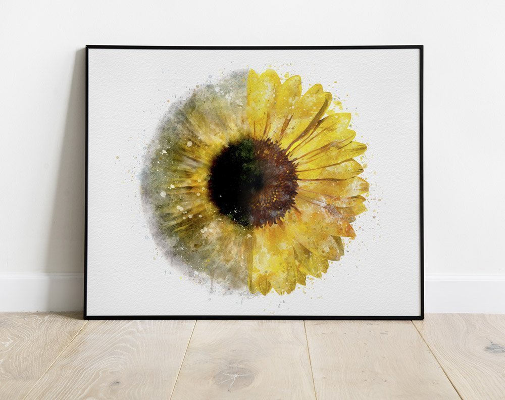 Sunflower iris art print for optometry and ophthalmology offices sunflower iris ophthalmology art prints