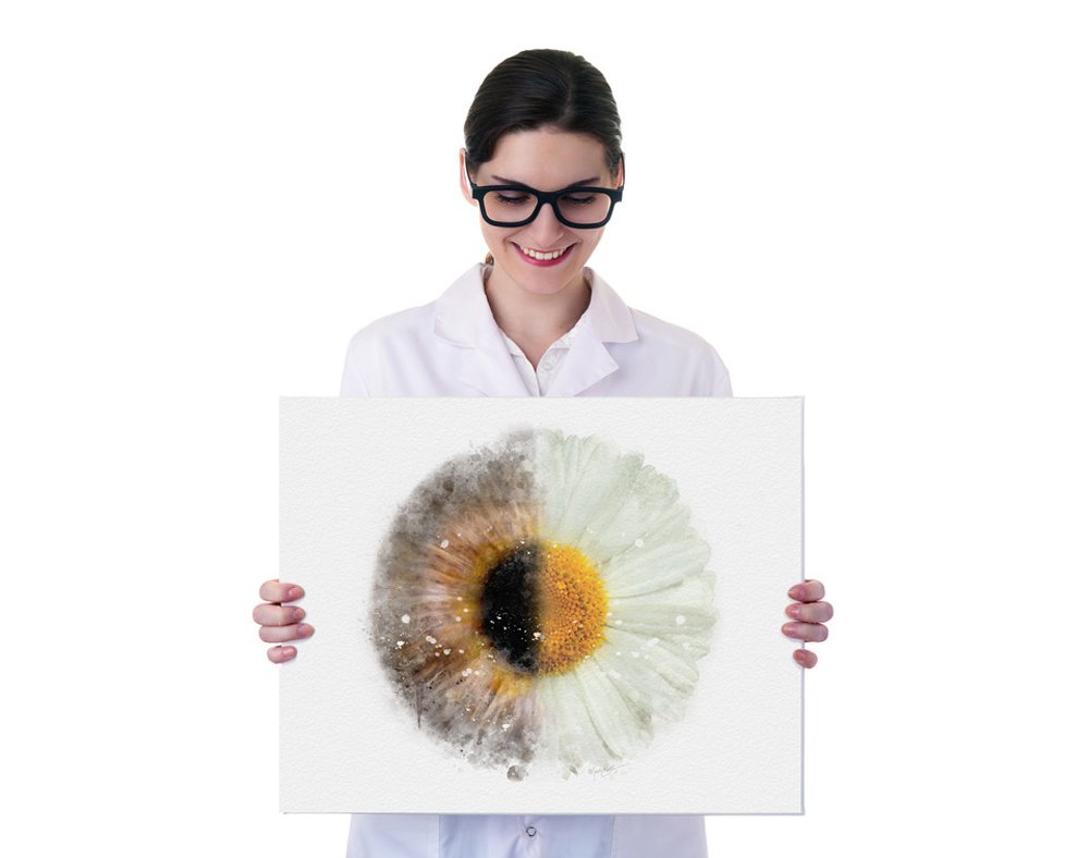 Daisy flower iris art print for optometry office decor optometry iris decor Daisy and iris wall art prints