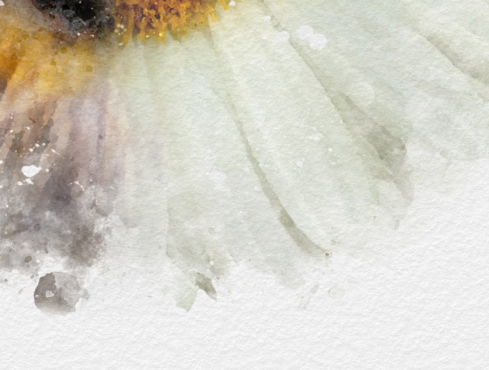 Daisy flower iris art print for optometry office decor optometry iris decor Watercolor eye doctor art print
