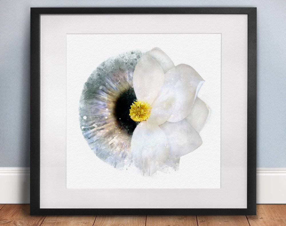 Iris flower art print eye doctors gift