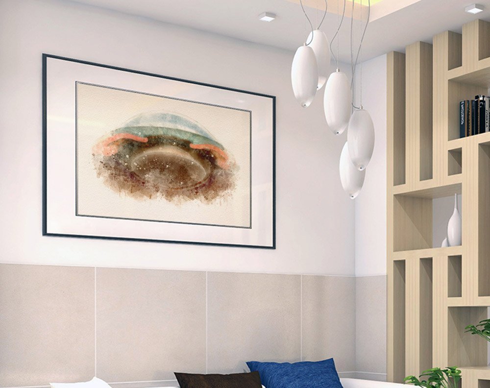 Anterior segment cross section art print for eye-care clinics anterior segment anatomy Optometry wall art