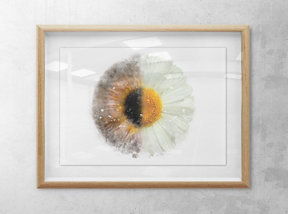Daisy flower iris art print for optometry office decor optometry iris decor Iris daisy optometrist art