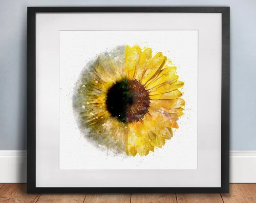 Premium eye doctor decor