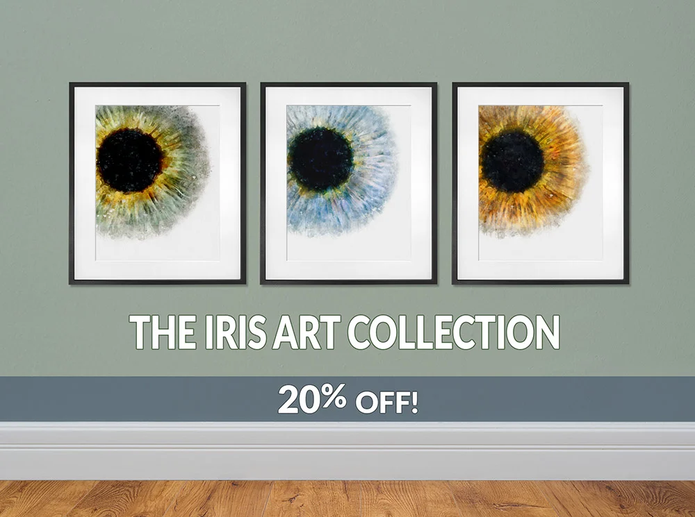 Iris art for eye doctors office decor