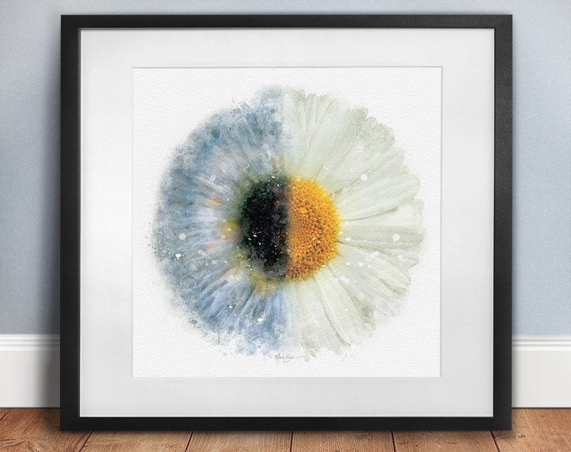 Wall art decor for an eye doctors office