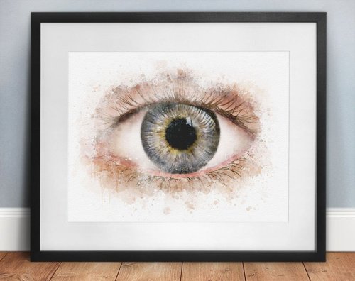 Eye anatomy decor for an eye doctors office