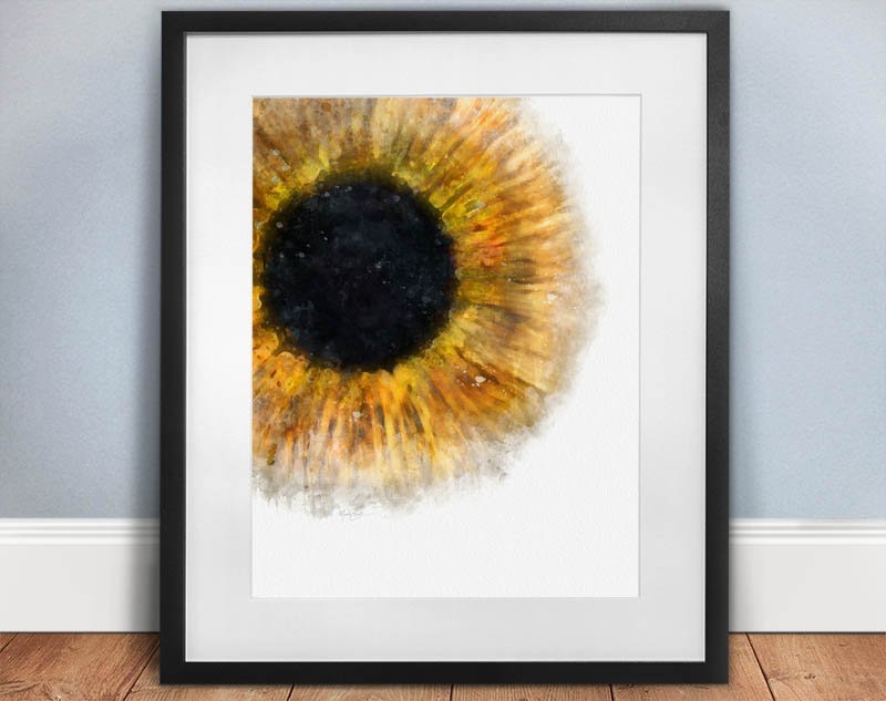 Iris art prints for optometry decor