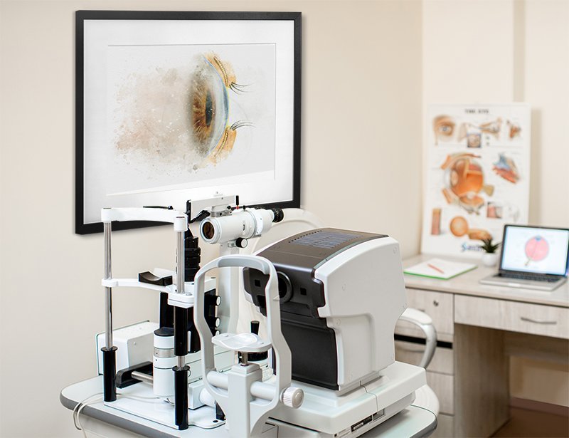 Meibomian anatomy fine-art print showing meibomian gland structure - 233 meibomian anatomy Eye exam room art